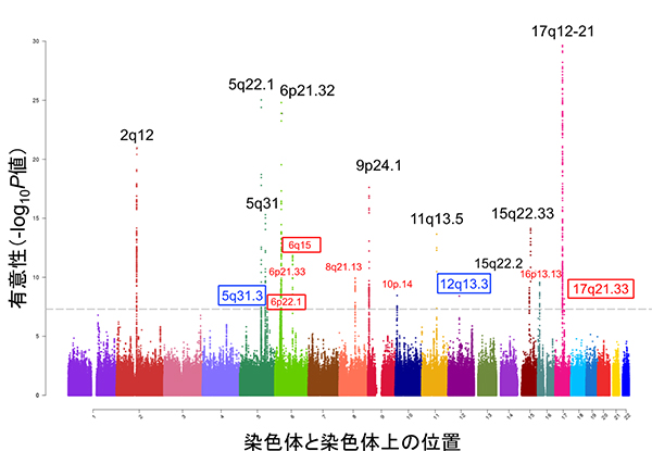 国際多集団142,486人によるGWASメタ解析の結果の図