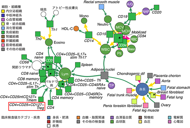 臨床検査値、病気、細胞組織が構成するネットワークの図