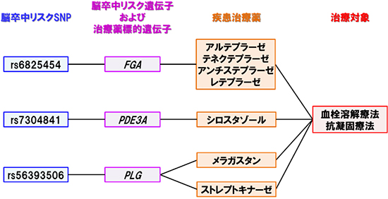 脳卒中における疾患ゲノム情報と疾患治療薬のつながりの図