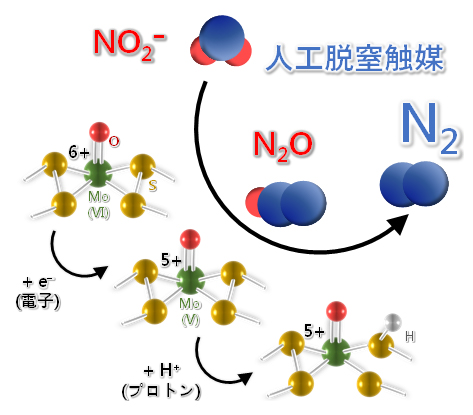 人工脱窒触媒を用いた亜硝酸の無害化反応のメカニズムの図