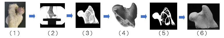 生体形状の3D造形（BJ方式）による作製例の図