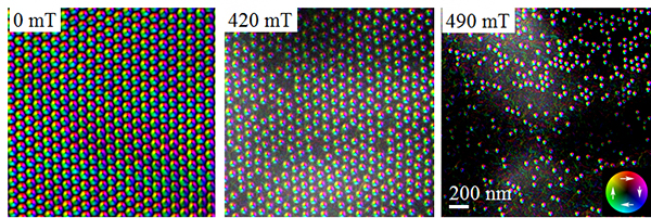 ローレンツ電子顕微鏡法で観察された各磁場のSkXと孤立スキルミオンの図
