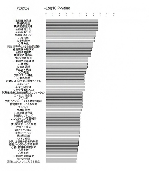 有意となった生物学的パスウェイの図