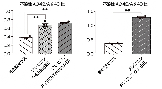 変異プレセニリンマウス（P436SとP117）におけるAβ産生パターンの図