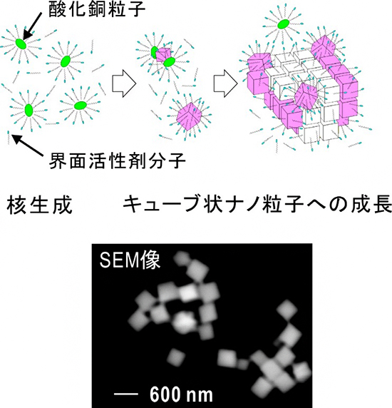 推定されていた銅キューブ粒子の成長過程の模式図と銅キューブ粒子の画像の図