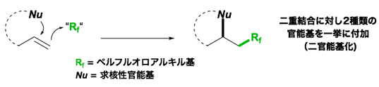 二官能基化型のペルフルオロアルキル化反応の図
