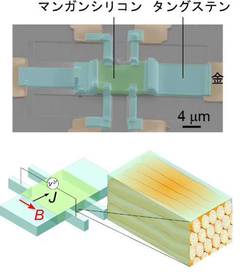 測定に用いた試料の電子顕微鏡像とスキルミオン弦の配置の模式図の画像