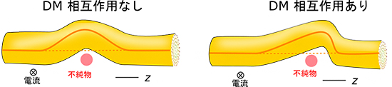 スキルミオン弦の変形の模式図の画像