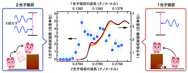 X線の2光子吸収スペクトルと1光子吸収スペクトルの違いの図