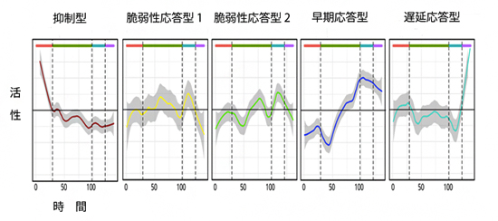 C1 CAGE 法によって得られた遺伝子制御ネットワークの図