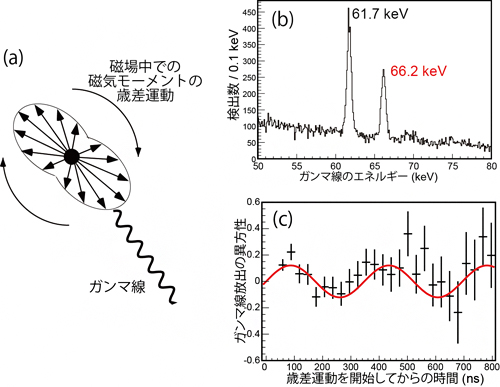 75Cu磁気モーメントの決定の図