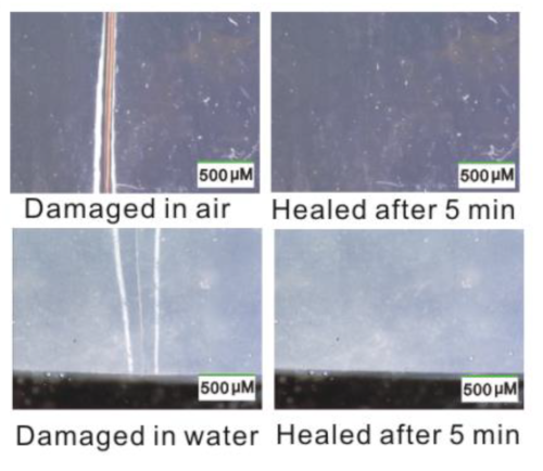 Photos of a self-healing material reattaching itself