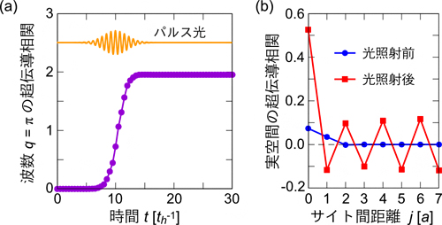 理論計算によって得られたパルス光照射によるハバード模型の超伝導相関関数の図