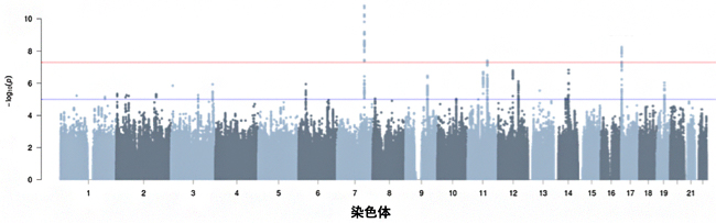 台湾人集団の踵骨の剛性指数（SI）のゲノムワイド関連解析（GWAS）の結果の図