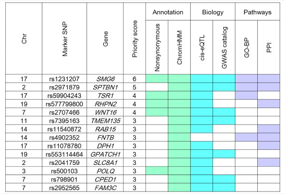 統合インフォマティクス解析により同定された剛性指数の候補遺伝子の図