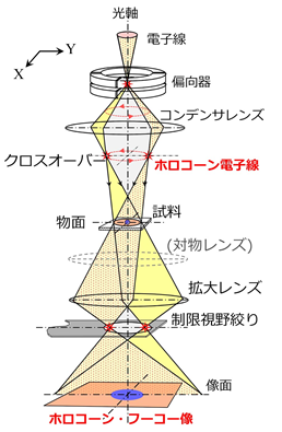ホロコーン・フーコー法の光学系の概要の図