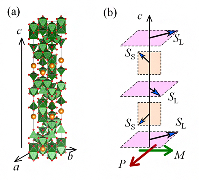 六方晶鉄酸化物の結晶構造(a)とFE3相の磁気構造(b)の模式図の画像