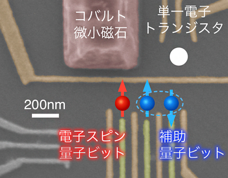 三重量子ドット構造による電子スピン量子ビットのハイブリッドデバイスの図