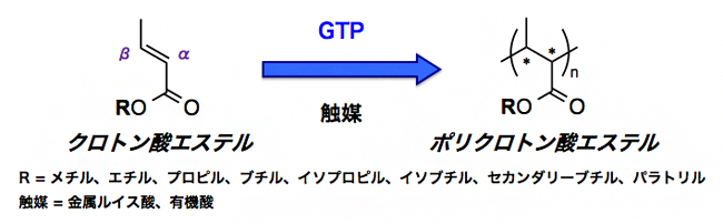 クロトン酸エステルのグループトランスファー重合（GTP）の図