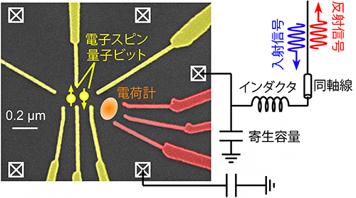 シリコン量子ドット試料と高周波反射測定セットアップの図