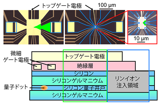 高周波反射測定が可能な試料設計と試料構造の図