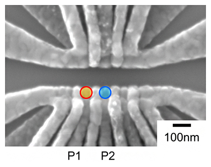 本研究で用いたシリコン量子ドット試料の電子顕微鏡写真の図