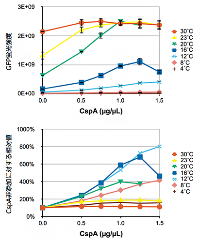 各反応温度におけるCspAタンパク質添加濃度とGFPタンパク質発現量の関係の図