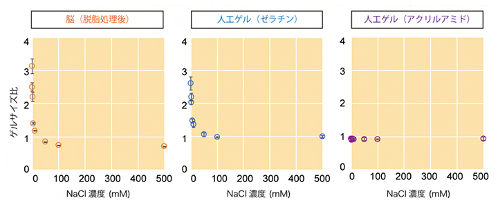 生体組織ゲルと人工ゲルの膨潤収縮挙動の定量的比較の図