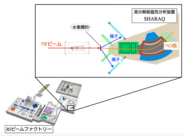 本研究で用いた実験装置の概略図の画像