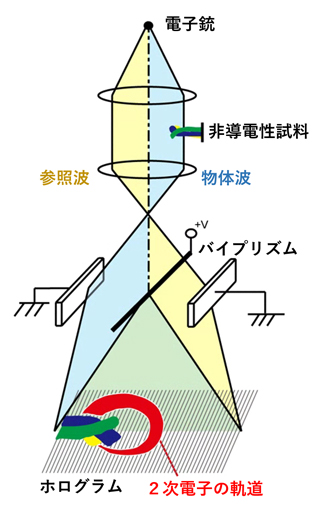 電子線ホログラフィーの原理図と観察された2次電子の軌道の図