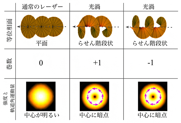 光渦ビームの巻数と周辺の強度分布の関係の図