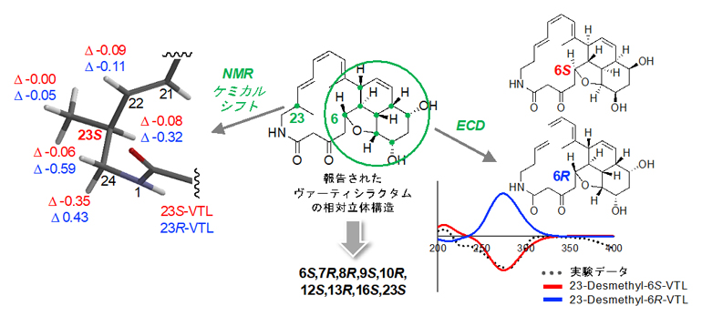 NMRケミカルシフトおよびECDスペクトルの計算による絶対立体配置の決定の図