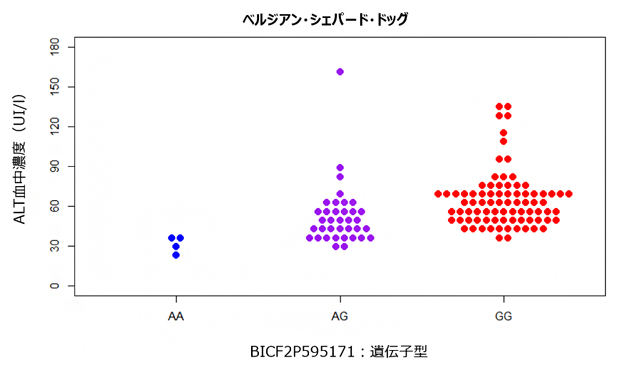 ベルジアン・シェパード・ドッグのALT血中濃度における遺伝子型間の違いの図