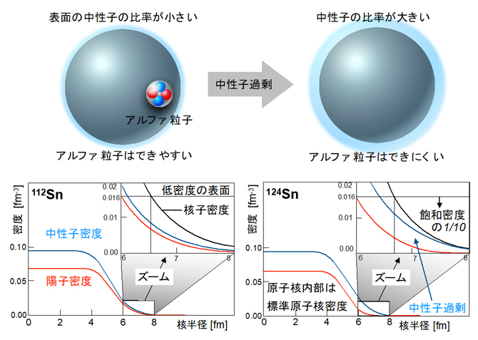アルファ粒子のできやすさ（上）とスズ同位体における陽子密度と中性子密度の分布の図