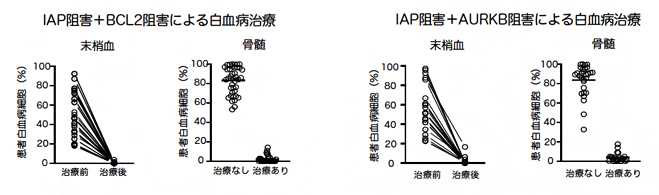 白血病ヒト化マウスにおける2種類の阻害剤の同時投与による効果の図
