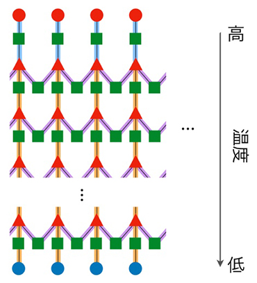 横磁場イジング模型の有限温度状態に対応する深層ボルツマンマシンの構造の図