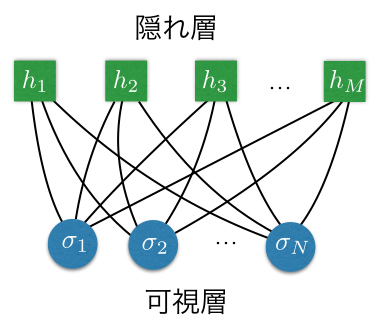 人工ニューラルネットワークの一つである制限ボルツマンマシンの構造の概念図の画像
