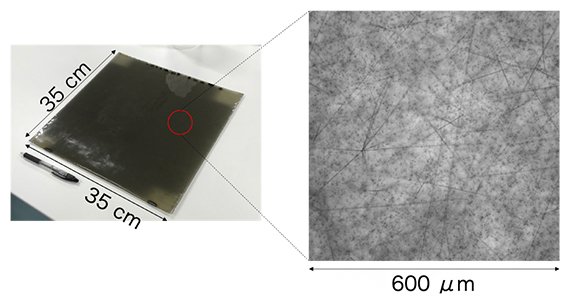 実験で使用した写真乾板（左）と光学顕微鏡で撮影した写真乾板の画像（右）の図