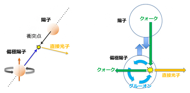 偏極陽子と陽子の衝突と横スピン比対称度の概念の図