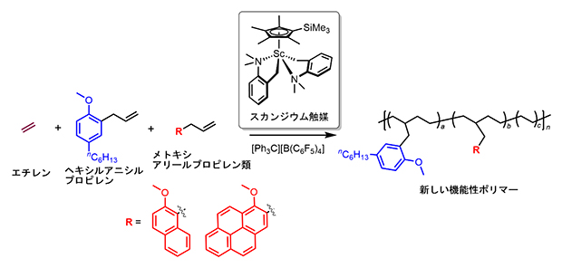 スカンジウム触媒によるエチレンと2種類のアニシルプロピレン類の三元共重合反応の図