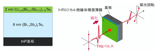 磁性トポロジカル絶縁体／非磁性トポロジカル絶縁体積層薄膜でのTHz磁気光学測定の図