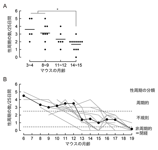 老化マウスの25日当たりの性周期数の推移と閉経の検出の図