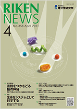理研ニュース2011年4月号