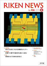 理研ニュース2019年6月号