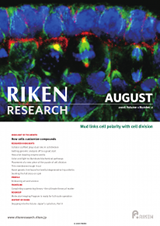 RIKEN Research Volume 1 Issue 8