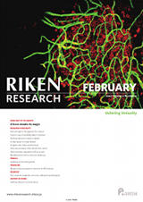 RIKEN Research Volume 2 Issue 2