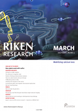 RIKEN Research Volume 2 Issue 3