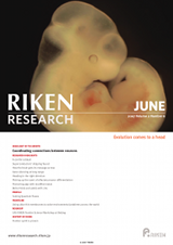 RIKEN Research Volume 2 Issue 6