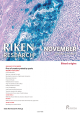 RIKEN Research Volume 2 Issue 11