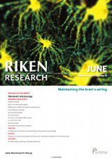 RIKEN Research Volume 3 Issue 6